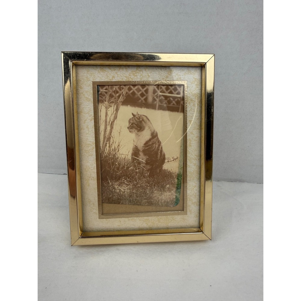 Vintage Sepia Cat Print in Gold Tone Metal Picture Frame 4.75 x 6.25